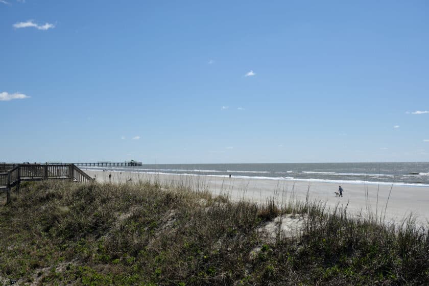 Seagrass atop a dune with a Charleston beach in the background with people and dogs walking.