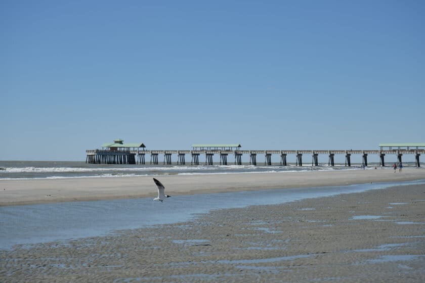 Seagull flying over the beach in front of a pier at one of the best Charleston, SC beaches.