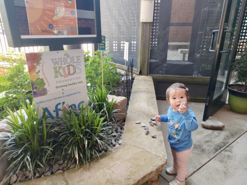 Child in a garden area at the EdVenture in Columbia, South Carolina.